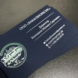 Деловые визитки с логотипом компании