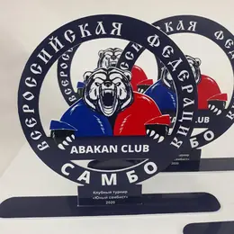 Награды с логотипом